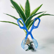 Pinces en Plastique pour Terrarium de Reptiles, Outil D'Alimentation pour Animaux de Compagnie, Pince pour Enfants, Outil D'Étude de la Biologie des