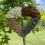 Refillable Bird Nesting Heart Bird Haven Nest for Outdoor-2 4