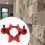 With Double Suction Cups. Hole Saw Suction Cup Guide Open Hole Locator,Adjustable for Efficient Work for Marble,No Drill 3