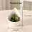 User Friendly Resin Herb Stripping Bowl Safe for Daily-White 4