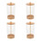 4Pièces Support À Pailles Transparent En Couvercle Bois 8