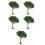 5Pcs Plastic Mini Trees Green for Dollhouse Model Railroad Scenery 4