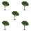 5Pcs Plastic Mini Trees Green for Dollhouse Model Railroad Scenery 6