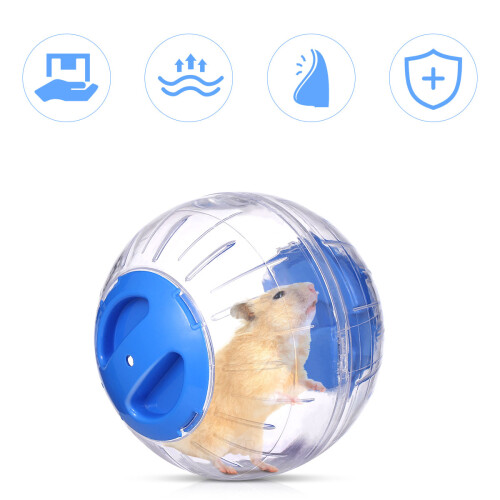 D’exercice Hamster , 1