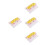4Pièces Éducation Plante Oignon PVC Sturdy 4