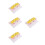 4Pièces Éducation Plante Oignon PVC Sturdy 6