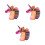 3Pcs Cosmetics Brush Set Durable Plastic Handle Multicolor for Women 4