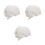 3Pcs White Plastic Brain Model PVC Human Anatomy Display for Education 5