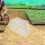 Waterproof Foldable Vegetable Raised Garden Bed Cover White 5