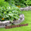 Décor Bois Assorti Pour Parterre Terrasse 4