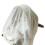Breathable Infant Stroller Wind Cover 9