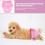 Culotte Absorbante Rose En Coton Pour 5