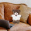 2Pièces Tenue Peluche Ours Blanche Robe Douce Pour Et Doudou 5