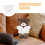 2Pièces Tenue Peluche Ours Blanche Robe Douce Pour Et Doudou 9