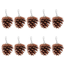 40Pcs Small Parrot Toys Pine Cone Chewing Toy for Cage Grinding Beak