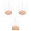 3Pièces Porte-Menu Rotatif Transparent Socle Stable 5