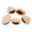 15Pièces Shaker Coquilles De Beige Pour Percussion Musicale 3
