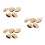 15Pièces Shaker Coquilles De Beige Pour Percussion Musicale 9