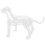 4Sets Transparante PVC Hondenmannequin Voor En Display 3