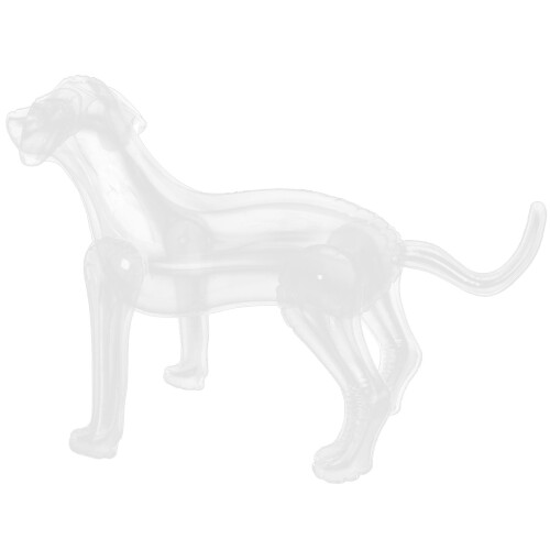 4Sets Transparante PVC Hondenmannequin Voor En Display 2