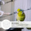Kleine Vogelbad Met Duurzaam Plastic Kleur 3