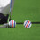 1Ensemble Ensemble Outils Golf Durable 9