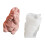 Creative Squirrel Shaped Silicone Mould For Handmade Candle-2 1