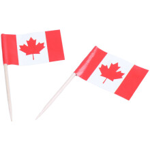 100Pcs Wooden Toothpick with Flag for Decor Of Party Fruit Pastry - 50Pcs Canada & 50 Pcs France