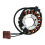 For 75039004000 Motorcycle Stator Coil Generator 1