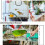 6PCS Bird Cage Cleaning Brush Tools Set, Bird Poop Remover Scraper Birdcage Accessory 2