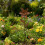 Rusty Garden Dekostäbe, Metallblumen, Gartendekoration, 4