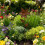 Rusty Garden Dekostäbe, Metallblumen, Gartendekoration, 5