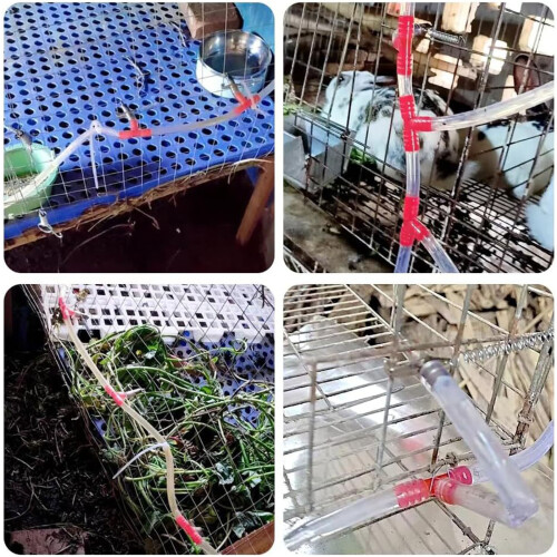 Dispositifs d'hydratation Lagomorph 20 pièces mettant en 1