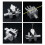2X Metal Vise Fixture Multi-Function Clamp Model Making Fixed Jig DIY Crafts Remodeling Vise Workbench with Clamping 2