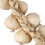 House Kitchen Garden Indoor Decor Artificial Garlic Strings 7