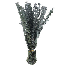 16Pcs-Preserved-Dried-Eucalyptus-Branches, 17In Fresh Eucalyptus Plant for Shower, Real Eucalyptus Bunch for Vase Filler