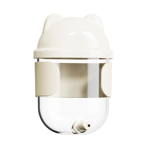 Bouteille d'eau de conception de broche de-Blanc crème