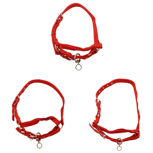 Strong Customizable Livestock Head Collar Constructed Using-M 2