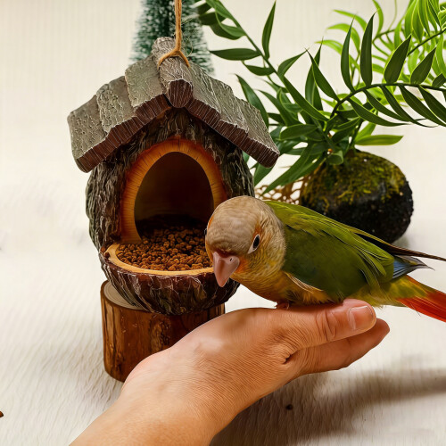 Mangeoire à oiseaux en forme de cabane d'arbre vintage, 2