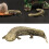 Handgefertigte Salamander-Figur aus Messing im antiken Design 2