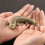 Handgefertigte Salamander-Figur aus Messing im antiken Design 5
