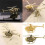 Messing-Retros-Helikopter-Figur, handgefertigte-Grundfarbe 3