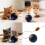 Fun Electric Pet Toy Ball with Automatic Movement For-Black 3