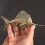 Verzierte Messing-Segelfisch-Statue, Retro-Design, 7