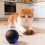 Fun Electric Pet Toy Ball with Automatic Movement For-Black 7