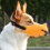 Breathable Silicone Dog Muzzle, Adjustable, Yellow, M (13.5‑16cm) 12