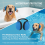 (Dark Grey, S code) Waterproof Ear Muffs for Swimming & Noise Protection 3