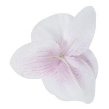 40Pcs 9cm Butterfly Orchid Flower Artificial Flower  Decor for Wedding Barrette Accessory