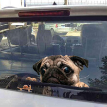 2X Marrant Mignonne Animal de Compagnie Carlin Chien Escargot 3D FenêTre de la Voiture Décalcomanies