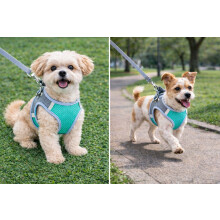 (L, Aqua) Dog Harness Professional Dog Harness with 2 Leash Clips, Adjustable Soft Pet vest Harness,Reflective and Breathable